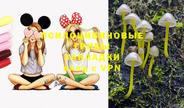 меф Беломорск