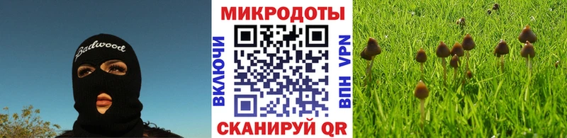 закладки  это официальный сайт  Галлюциногенные грибы Magic Shrooms  Красный Холм 